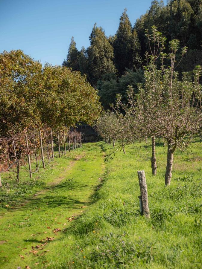 Naturena Agro-Turismo Durraes Bagian luar foto